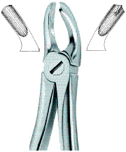 Molars,Left 18