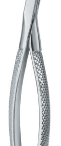 Tooth Ext Forceps